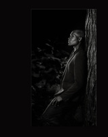 © David Nicholson Photography. All rights reserved.